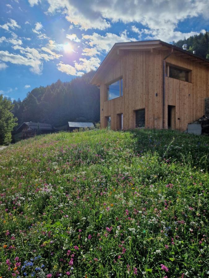 Chalet Ski-in Ski-out With Jacuzzi In